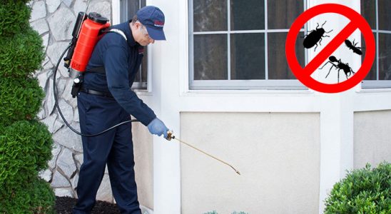 Konak Bit İlaçlama böcek ilaçlama ve haşere kontrolü — ilaclama-tr.com